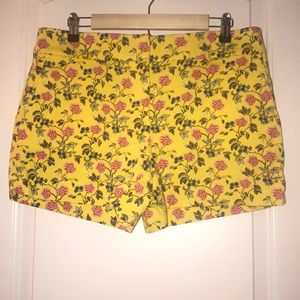 Loft riviera shorts